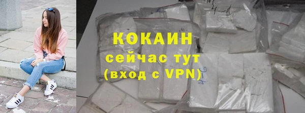 гашиш Богданович