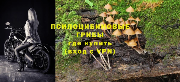 МДМА Богородицк