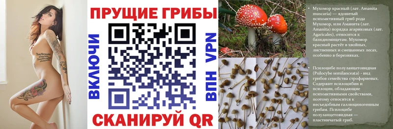 Псилоцибиновые грибы прущие грибы  Наро-Фоминск 